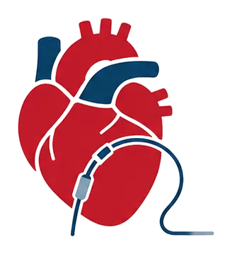 Valoración para procedimientos por catéter